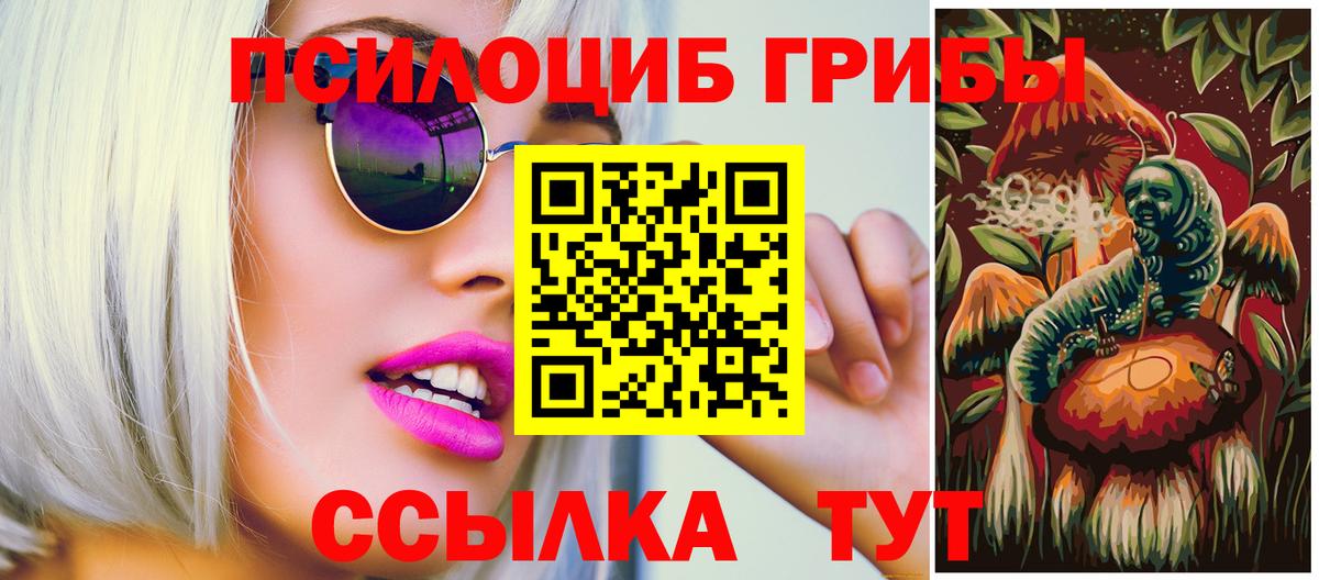 Псилоцибиновые грибы мухоморы  купить   Краснодар  Вход с VPN 
